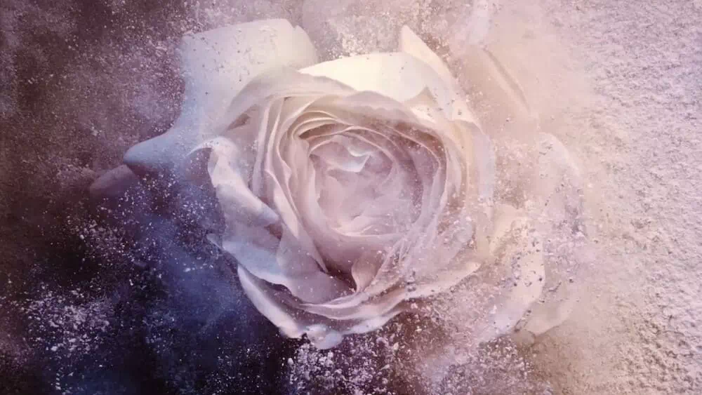 Lancôme - Absolue Rose On The Moon